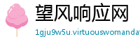 望风响应网